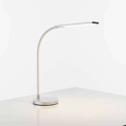 LED Desk Lamp with USB Charging Port